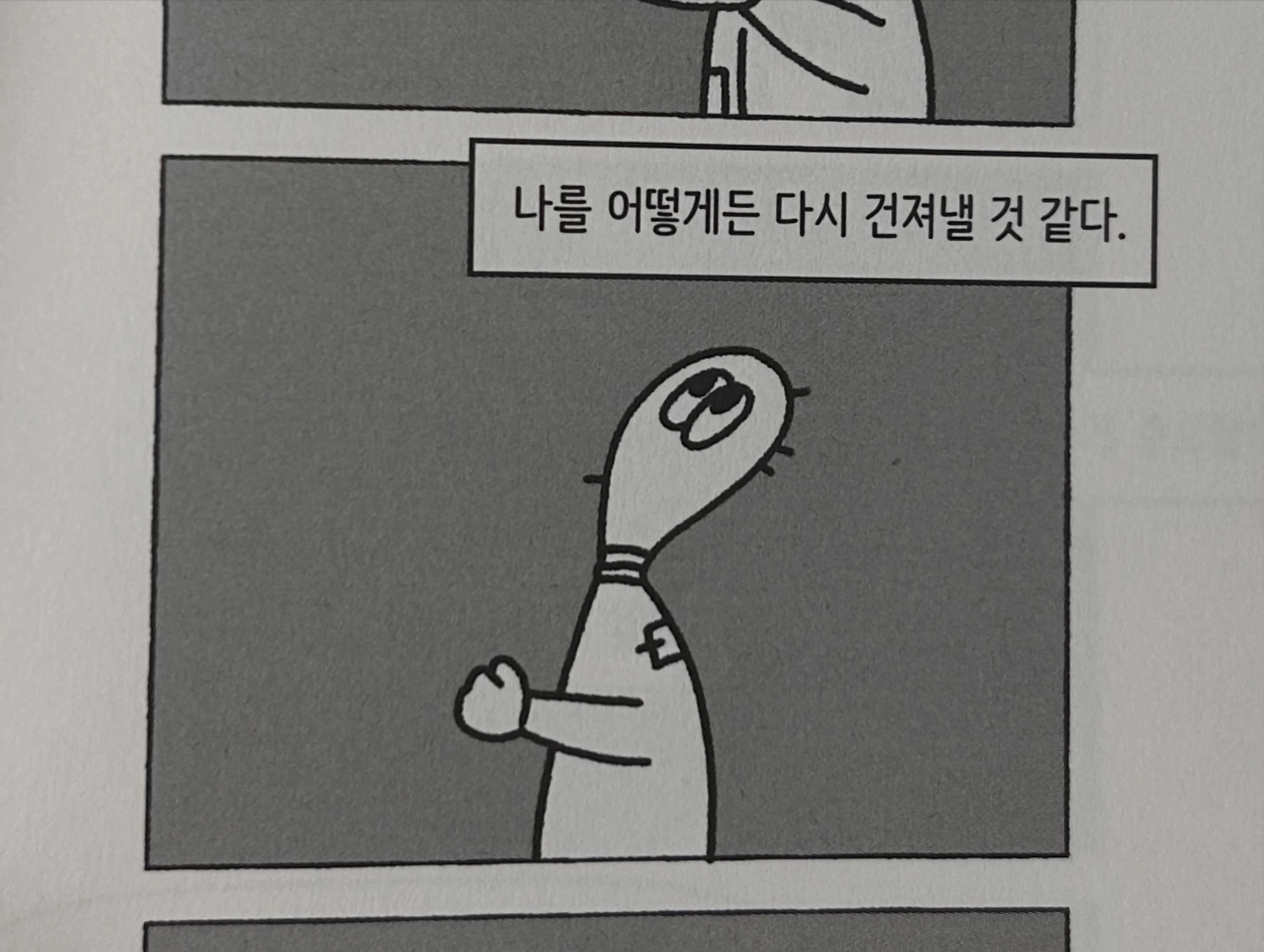 박세완 인별