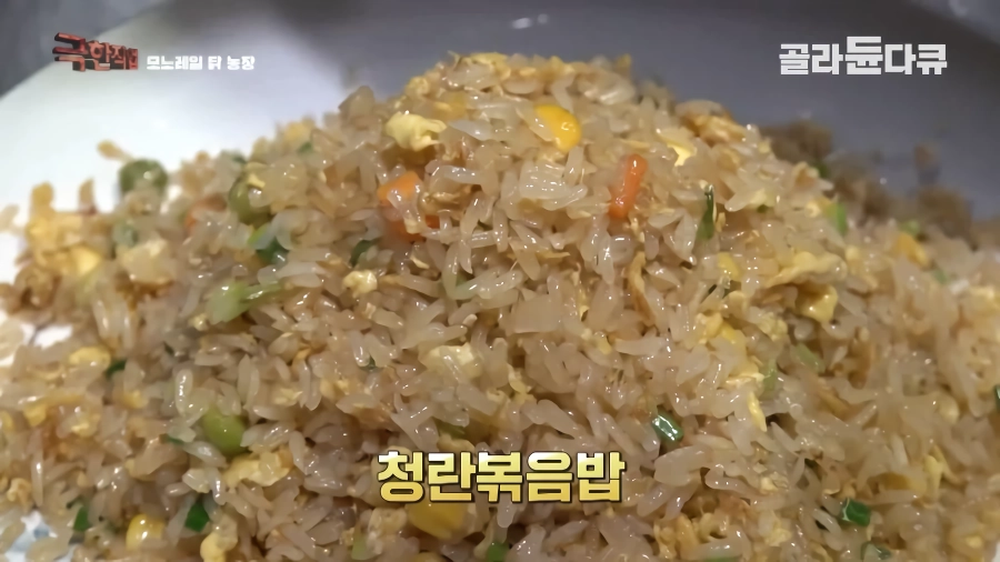 완전 동물복지 중국 닭 사육장