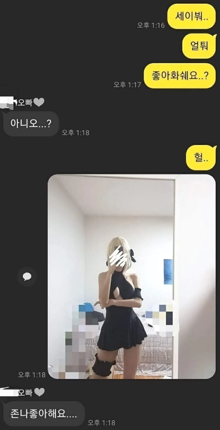 ㅇㅎ) 세이버 얼터.좋아하세요?