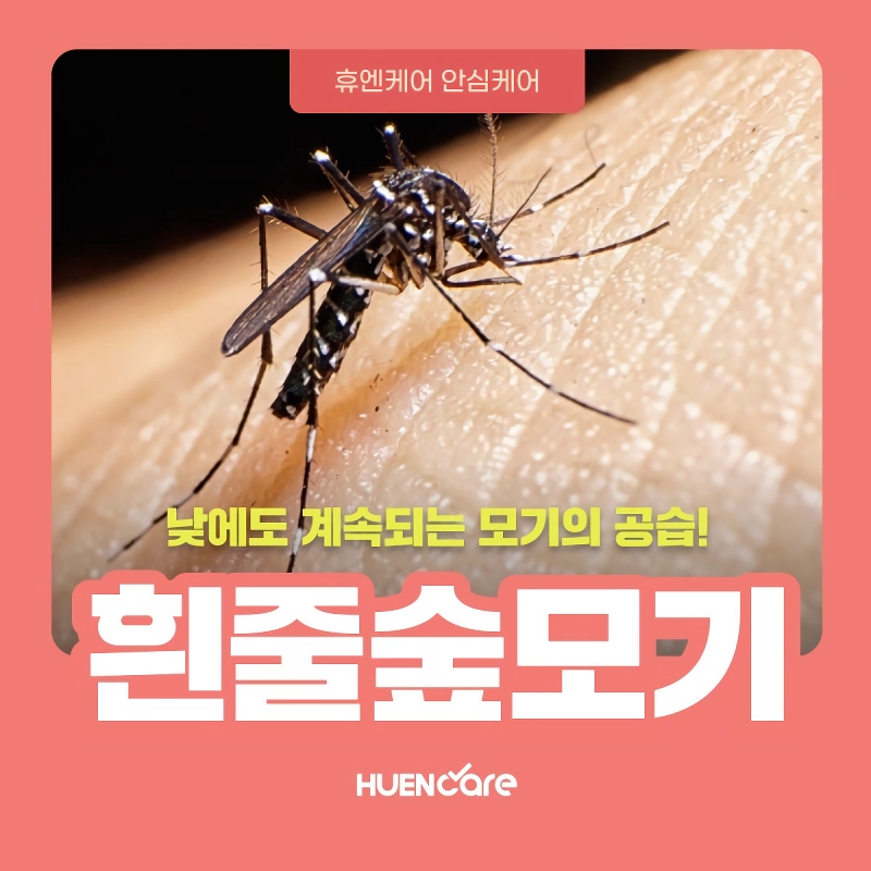 말벌과는 다른의미로 공포인 존재 .jpg