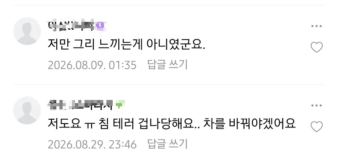 BYD차주들의 의외의 고충