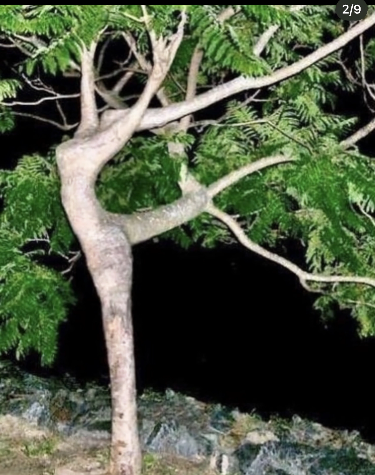 당신이 상상한거 뇌는 정상입니다
