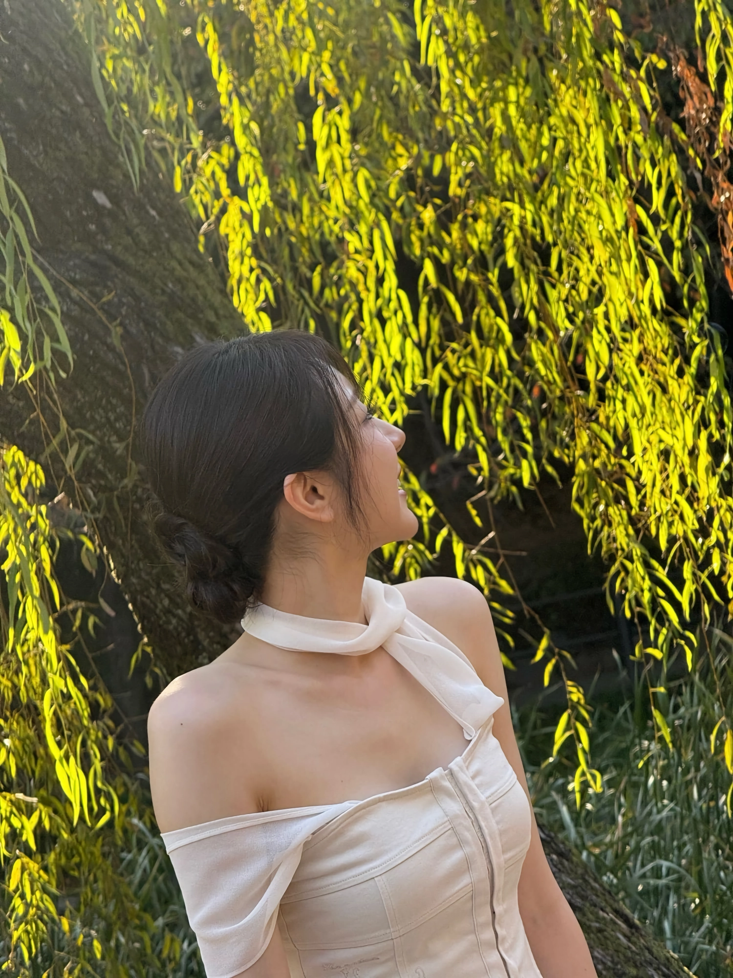 이채연