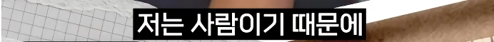 이스라엘 나포된 구호단체 한국인의 정체