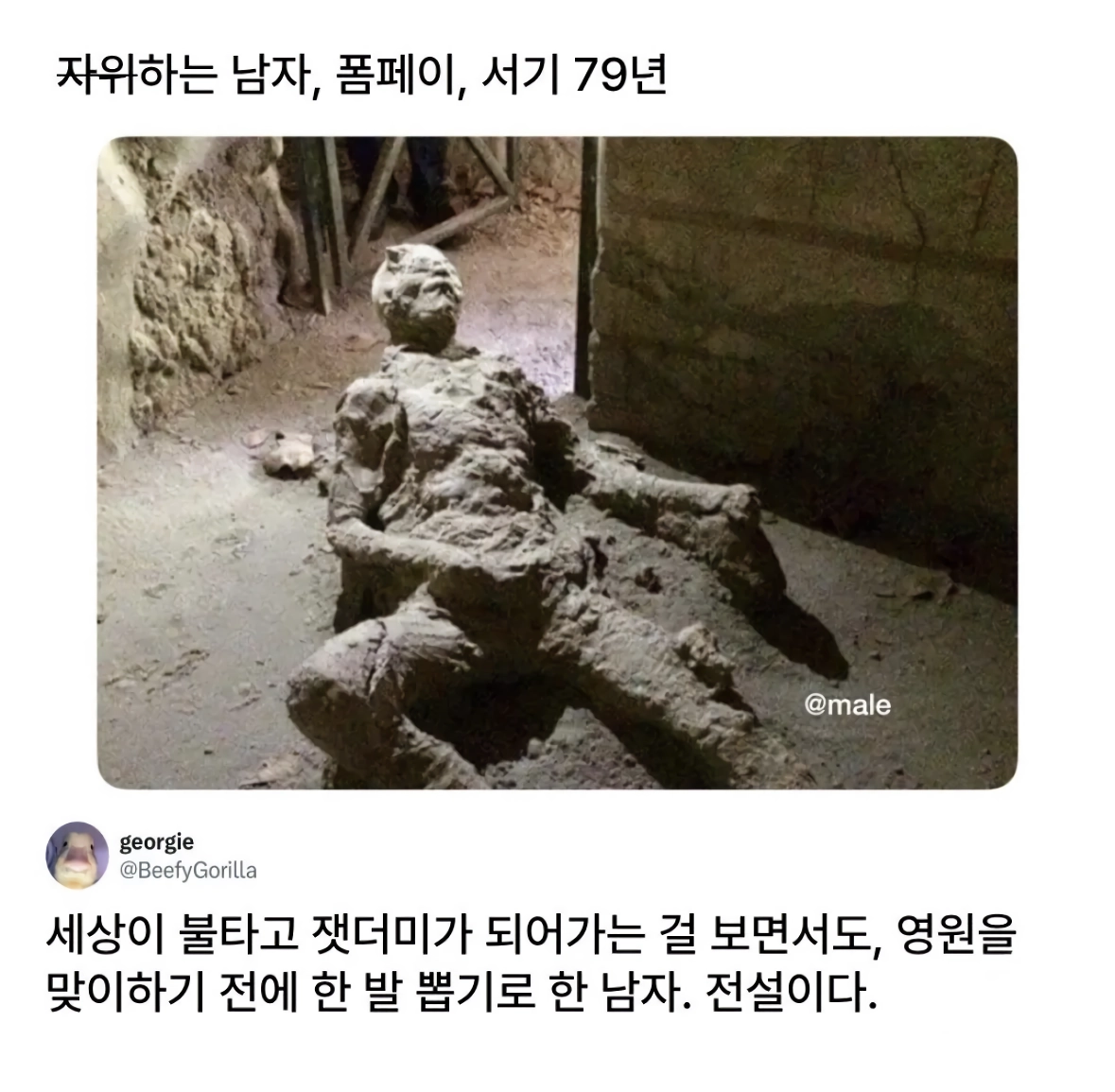 폼페이 화산이 터져도 남자가 멈추지 못했던 것