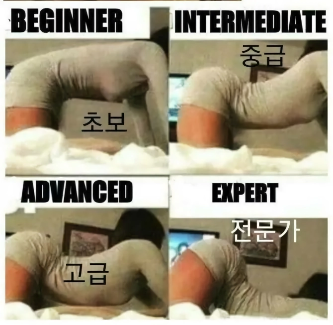 ㅇㅎ) 초보자-중급자-고급자-전문가