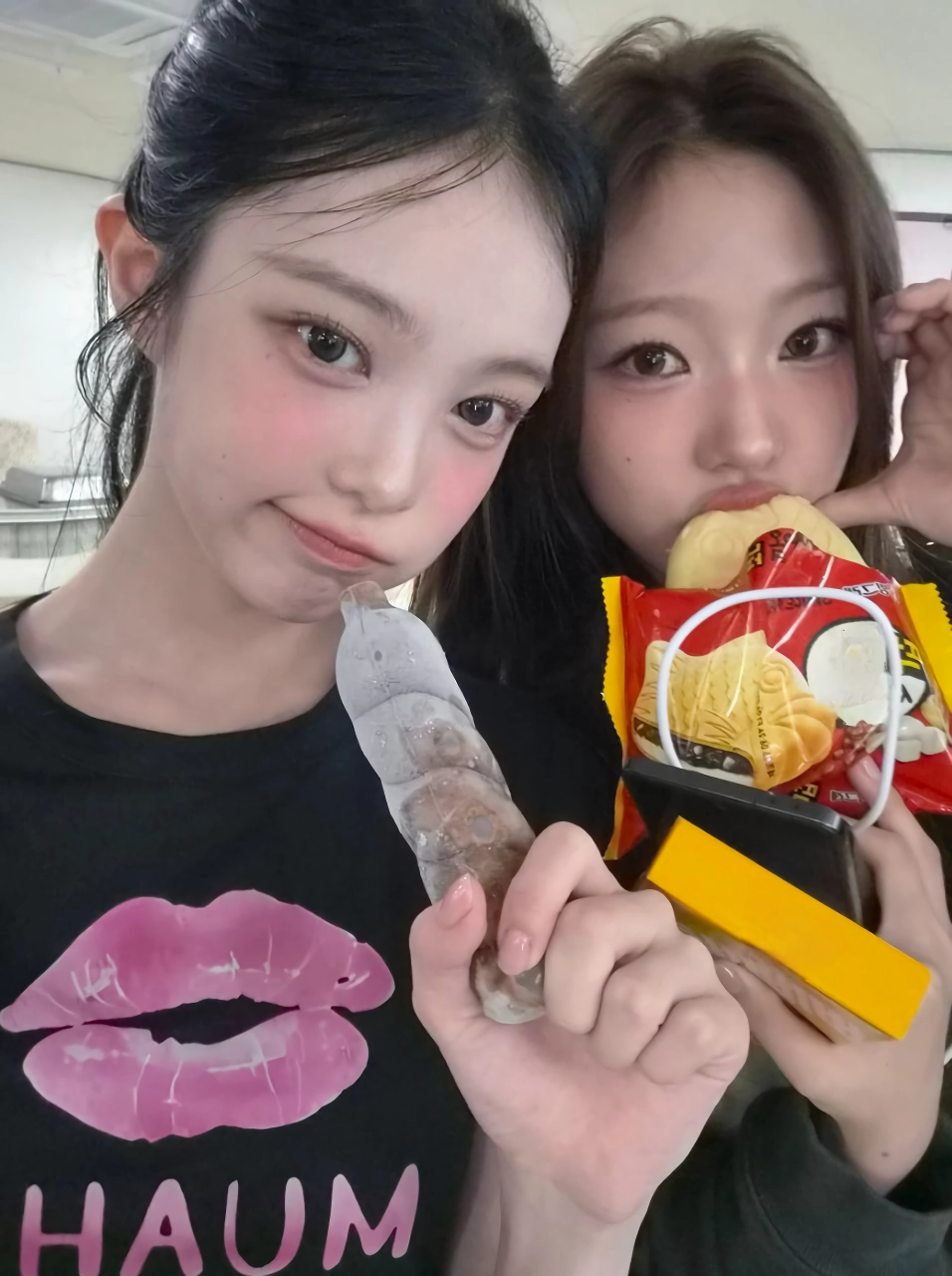 하츠투하츠 스텔라 생일