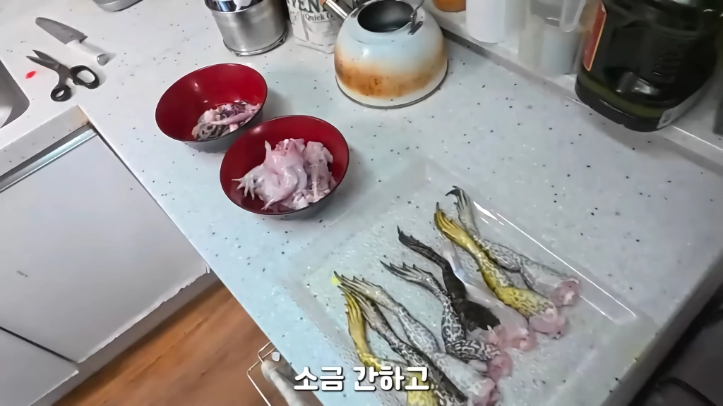 황소개구리 잡아다가 튀겨먹기(12)
