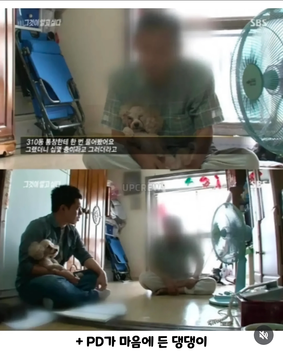 새 전문가가 마음에 들었던 아기