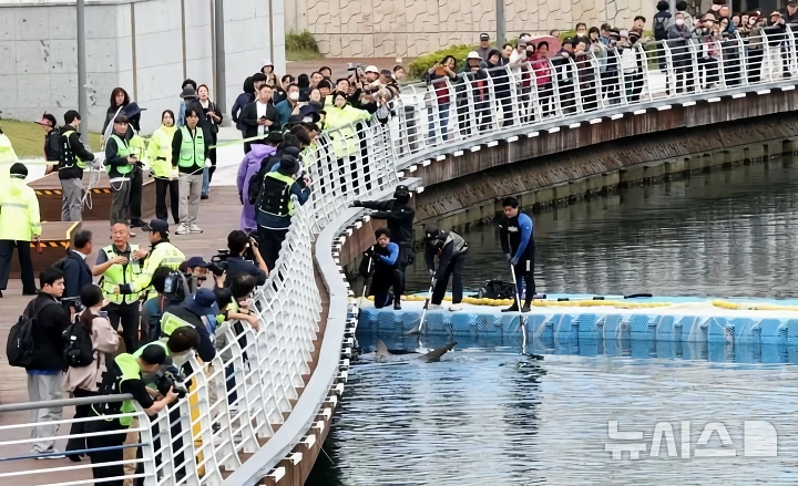 오늘자 부캉이 보내는 작업 사진