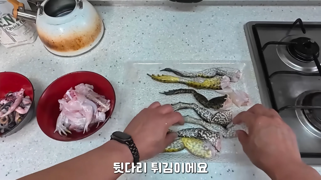 황소개구리 잡아다가 튀겨먹기(12)
