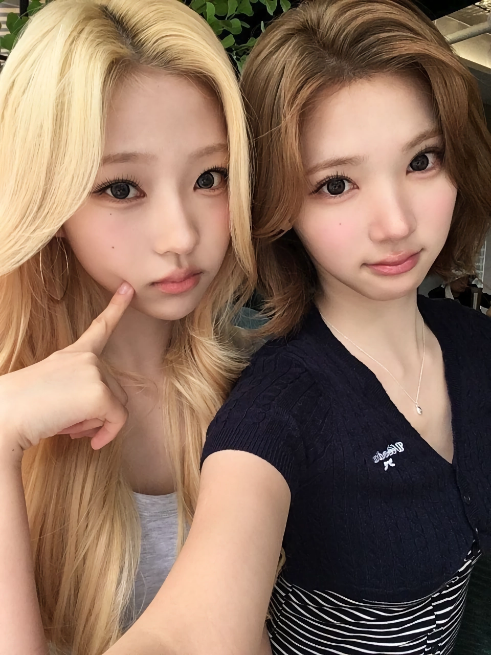 하츠투하츠 스텔라 생일