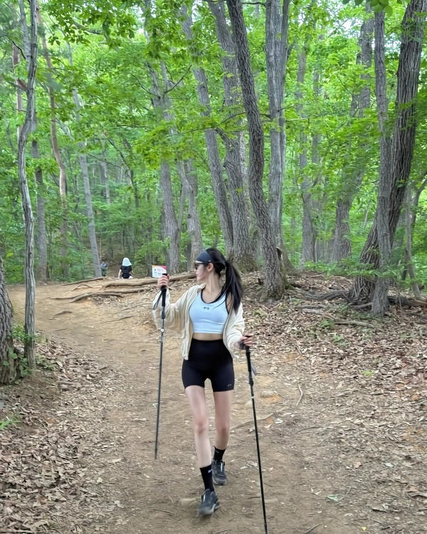 등산 갈래