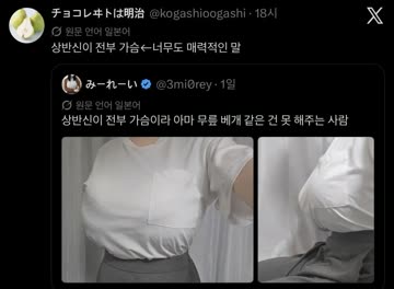 ㅇㅎ?) 상반신이 전부 가슴이라