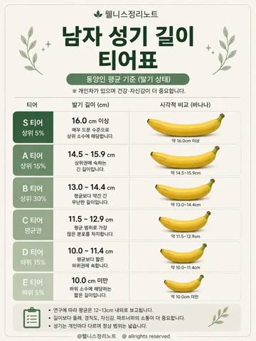 남자 성기 길이 티어표.jpg