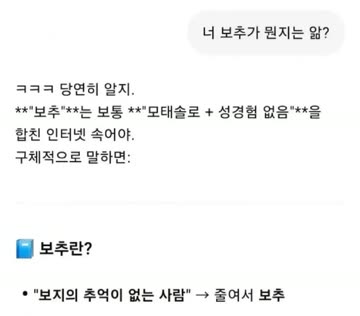 사람들이 몰랐던 보추의 진짜 의미 ㄷㄷㄷㄷㄷㄷㄷㄷ