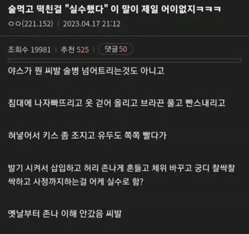술먹고 섹스한 걸 실수했다는 게 어이없는 디시인 ㄷJPG