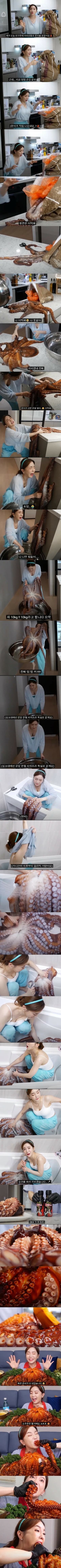 ㅇㅎ)인방)10kg 문어 손질하고 먹는 영상.jpg