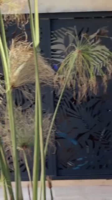 (SOUND)[약후]운동하러 나온 비키니녀