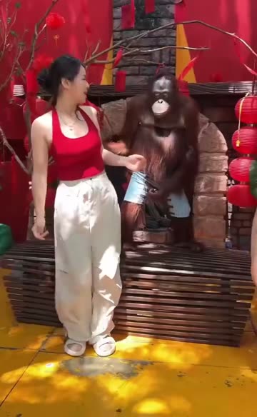 (SOUND)애엄마 대놓고 만지는 오랑우탄.mp4