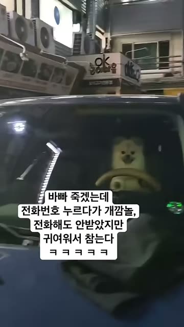 (SOUND)아니 차 좀 빼주세요 사장님 주차를 개같이 하셨잖아요.mp4