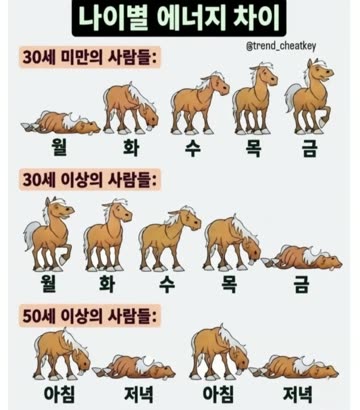 나이별 에너지 차이
