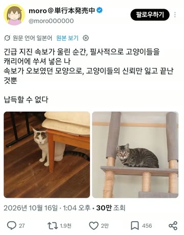 긴급 지진 속보가 울린 순간, 필사적으로 고양이들을 캐리어에 쑤셔 넣은 일본인