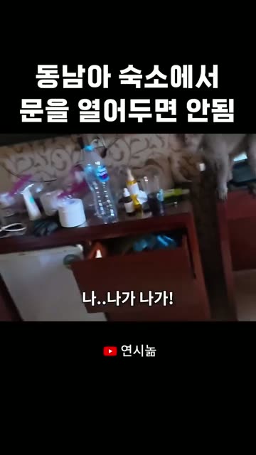 (SOUND)ㅎㅂ? 동남아에서 문 열어두면 생기는 일