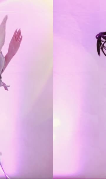 (SOUND)육덕 여캠 미오탱 트월킹덕